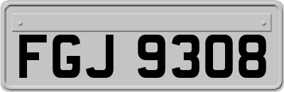FGJ9308