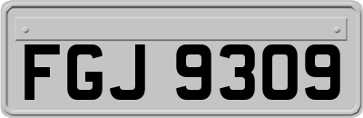 FGJ9309