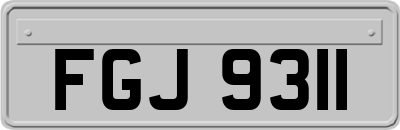 FGJ9311