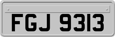 FGJ9313