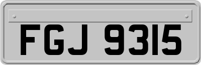 FGJ9315