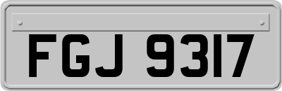 FGJ9317