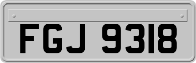 FGJ9318