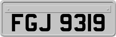 FGJ9319