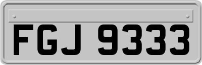FGJ9333