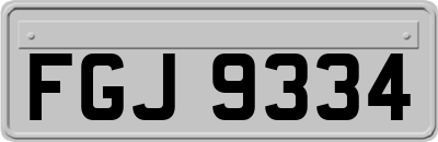 FGJ9334
