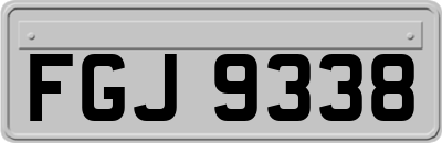 FGJ9338