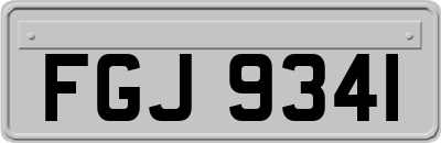 FGJ9341
