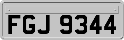 FGJ9344