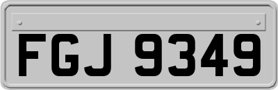 FGJ9349