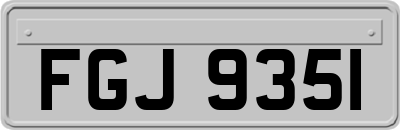 FGJ9351