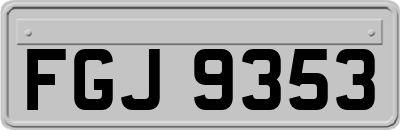 FGJ9353
