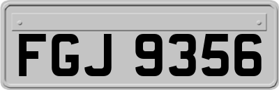 FGJ9356