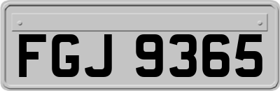 FGJ9365