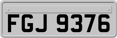 FGJ9376
