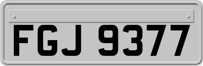 FGJ9377