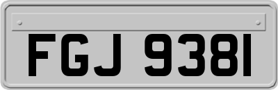 FGJ9381