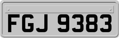 FGJ9383