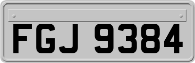 FGJ9384