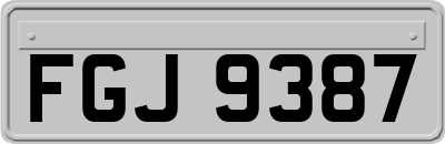 FGJ9387
