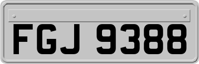 FGJ9388