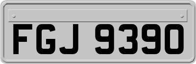 FGJ9390