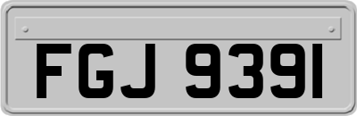 FGJ9391