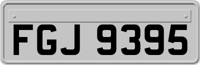 FGJ9395