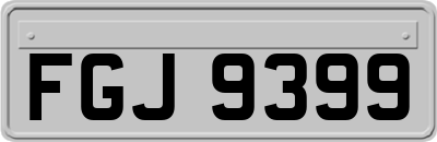 FGJ9399