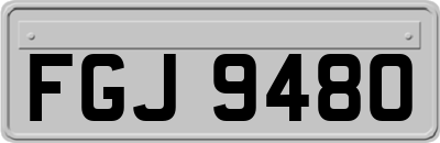 FGJ9480