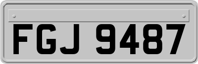 FGJ9487