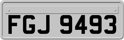 FGJ9493