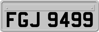 FGJ9499