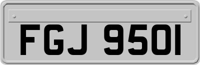 FGJ9501