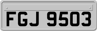 FGJ9503