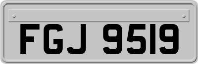 FGJ9519