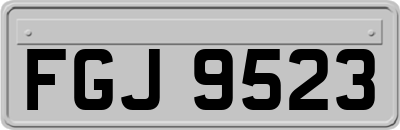 FGJ9523