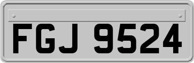 FGJ9524