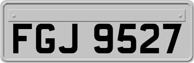 FGJ9527