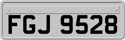FGJ9528
