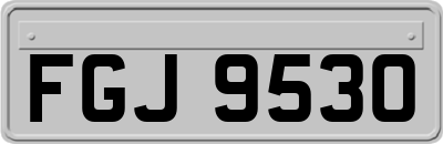 FGJ9530