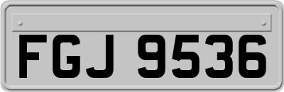 FGJ9536