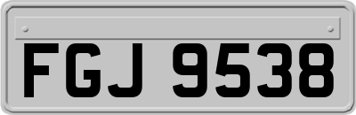 FGJ9538