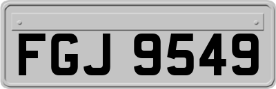 FGJ9549
