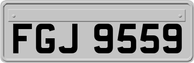 FGJ9559