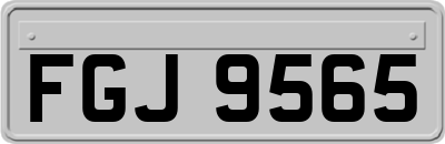 FGJ9565