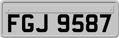 FGJ9587