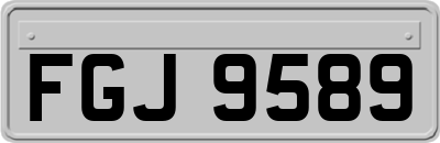 FGJ9589