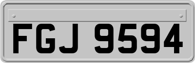 FGJ9594