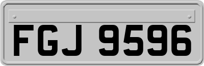 FGJ9596